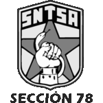 CCB4_SNTSA 78