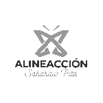 CSB11_ALINEACCION