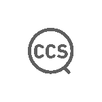 consultoria-css