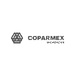 coparmex-gris