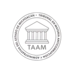 Logo TAAM gris