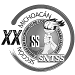 SNTSS-XX-Michoacán-GRIS-150